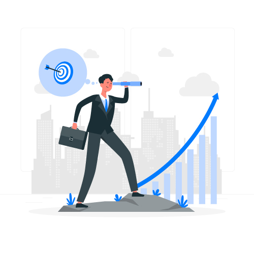 Vision of PhD writing service