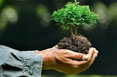 investment-seed-round